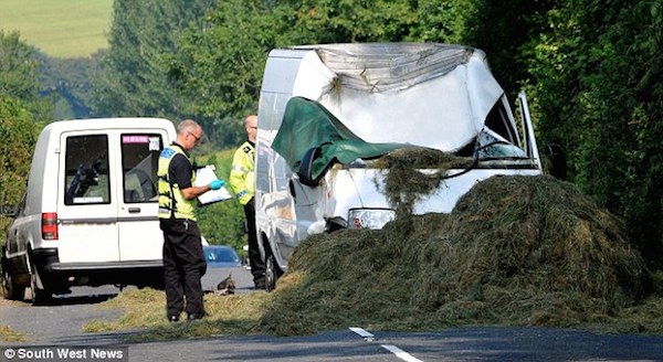 In 2010, a founding member of Electric Light Orchestra died instantly when his van was crushed by a bale of hay that weighed nearly 700 lbs. 

Mike Edwards, 62, was driving on the A381 between Harbetonford and Halwell in Devon when the bale careered down a slope in a field, flipped over a hedge, and smashed down onto his roof. The circular bale is believed to have been in a steeply-sloping field beside the road when it somehow rolled and jumped 12ft to 15ft into traffic.

Edwards played cello with ELO from their first live gig in 1972 until he departed in January 1975.
