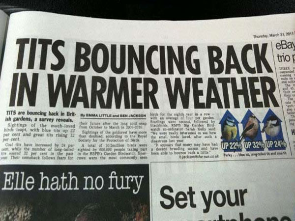 funny newspaper headline - Thursday, eBay trios Ter Tits Bouncing Back In Warmer Weather w Tits are bouncing back in BritM B Eliackson Bare for the with your in ish gardens, a survey reveals. with regarlour p ada and Start side by their future Sightings o