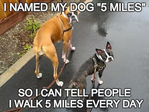 hilarious pictures with captions - I Named My Dog "5 Miles" So I Can Tell People I Walk 5 Miles Every Day
