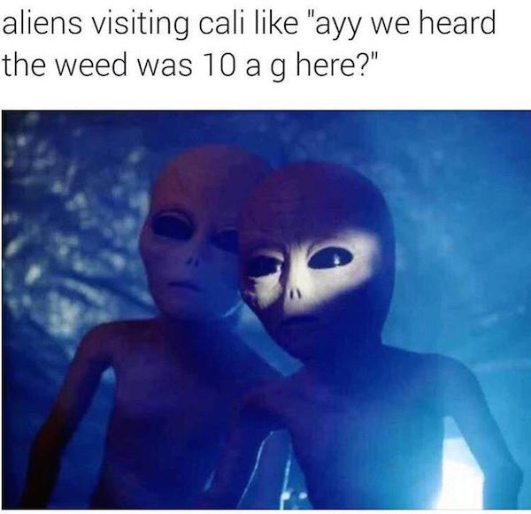 ufo museum - aliens visiting cali "ayy we heard the weed was 10 a g here?"