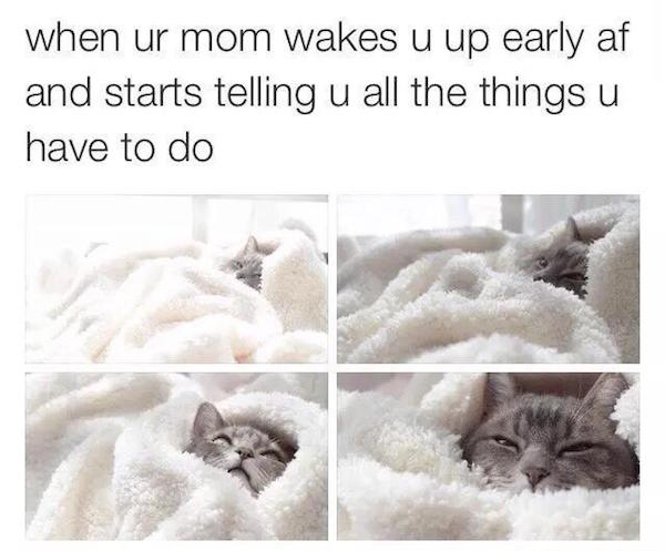 your mom wakes you up - when ur mom wakes u up early af and starts telling u all the things u have to do