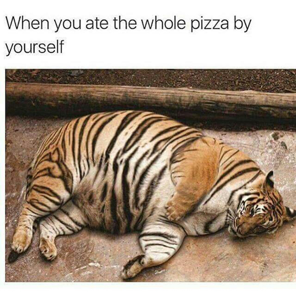 tiger in me meme - When you ate the whole pizza by yourself