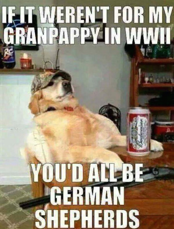 funny memorial day memes - If It Weren'T For My Granpappy In Wwii You'D All Be German Shepherds
