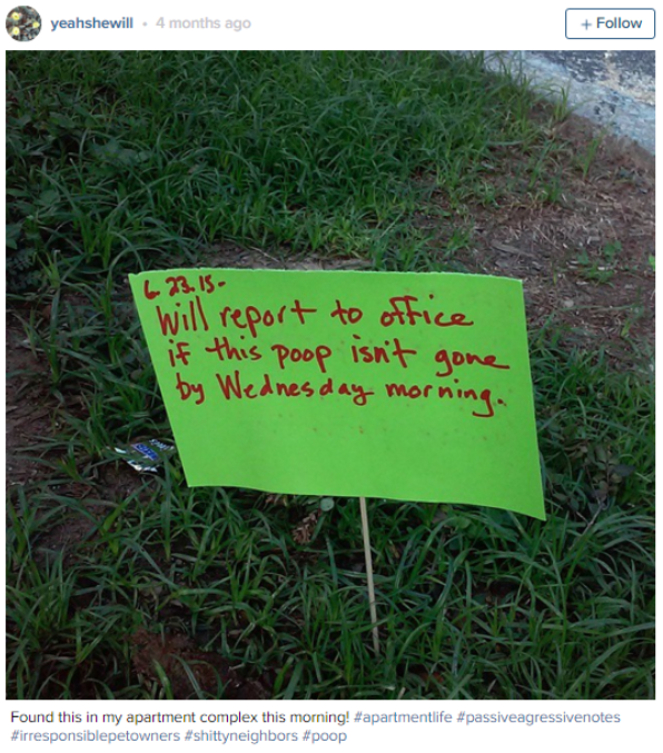 grass - yeahshewill 4 months ago 23.15 will report to office if this poop isn't gone by Wednesday morning. Found this in my apartment complex this morning apartment fe passivegressivenotes responsiblepetownershittyneighbors poop
