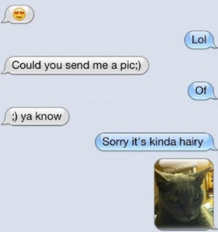 animal - Could you send me a pic; ya know Sorry it's kinda hairy