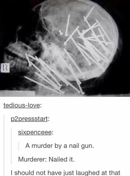 pun nail gun head xray - tediouslove p2pressstart sixpenceee A murder by a nail gun. Murderer Nailed it. I should not have just laughed at that