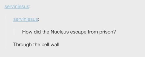 pun nucleus pun - servinjesus serviniesus How did the Nucleus escape from prison? Through the cell wall.