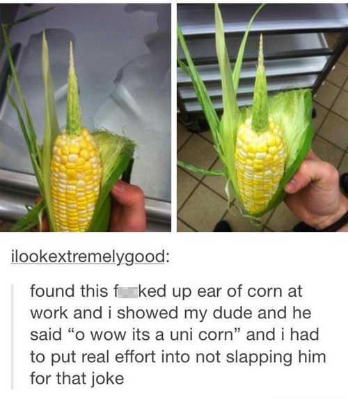 pun jokes about corn - ilookextremelygood found this f ked up ear of corn at work and i showed my dude and he said "o wow its a uni corn" and i had to put real effort into not slapping him for that joke