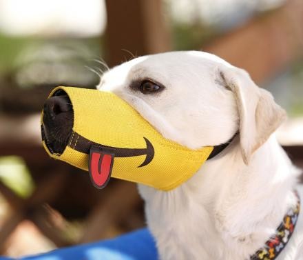 If you need to muzzle your pooch but don't want to make him look like a meanie, this is perfect.
