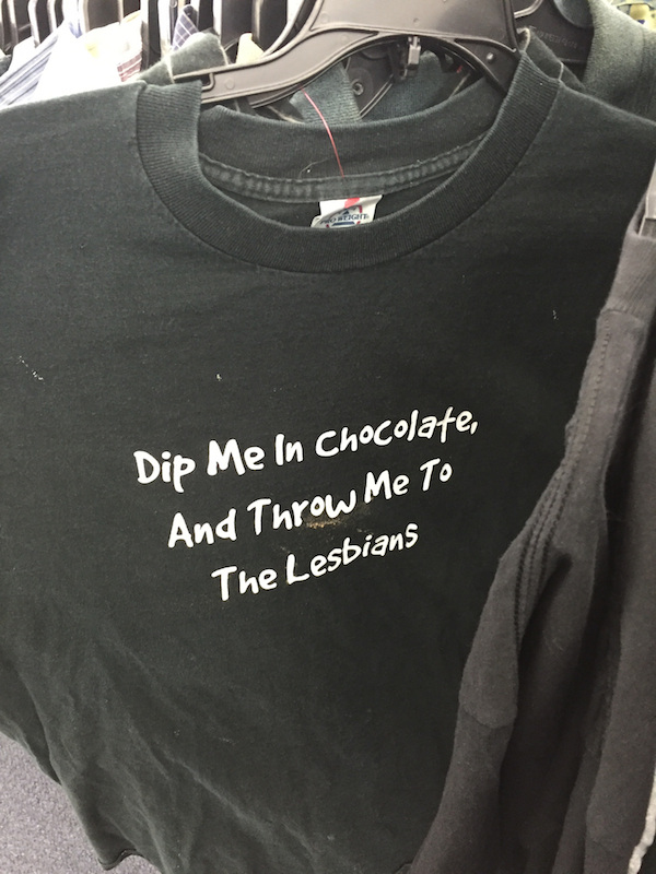 t shirt - Dip Me In Chocolate, And Throw Me To The Lesbians