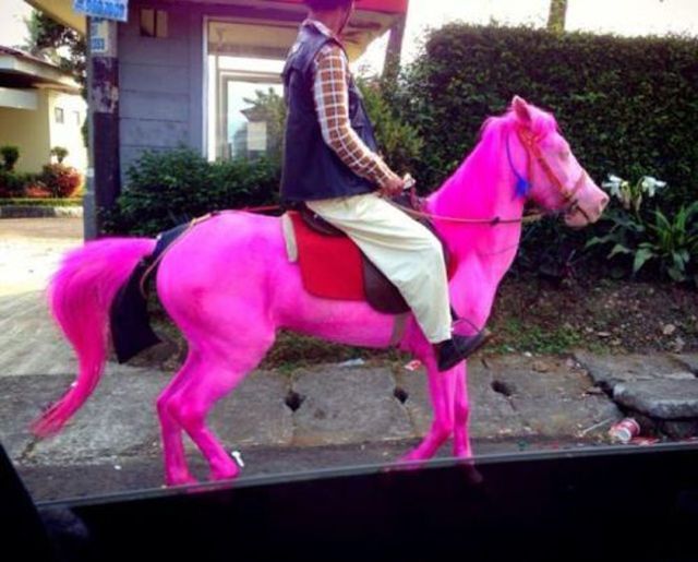 32 Photos That You Can’t Explain