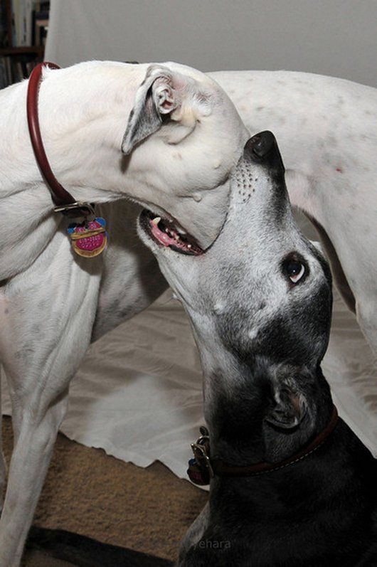 32 Photos That You Can’t Explain