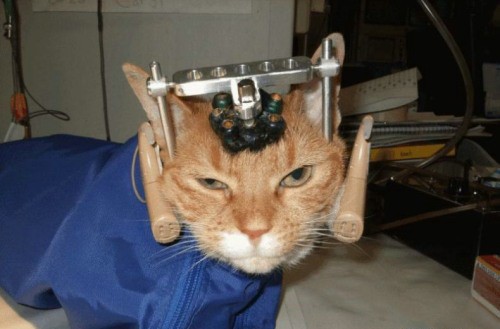 32 Photos That You Can’t Explain