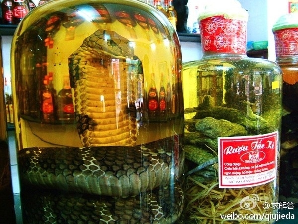In 2013, a woman in China's Harbin City was bitten by a pit viper after marinating it in sorghum wine for three months.

The woman, known as Ms. Liu, suffers from rheumatism and was given a live viper by her husband to brew in Chinese medicine at home. When she unsealed brew, she assumed it was dead, but it "woke up" and it bit her hand.

Liu was sent to the hospital and treated with antibiotics. Doctors warn that snakes can lie dormant in liquor for months, or even years.