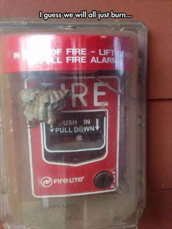 funny fire alarms - I guess we will all just burn... Df Fire Liftoves Ll Fire Alarm Ush In Pull Down FireLITE