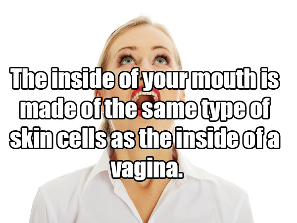 20 facts that sound made up, but they’re actually true
