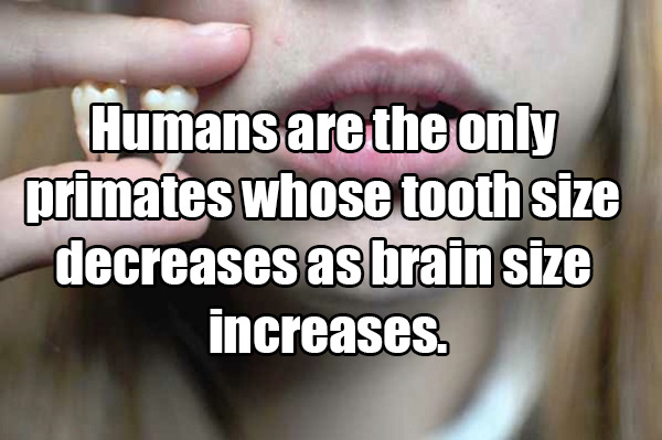 20 facts that sound made up, but they’re actually true
