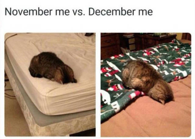 november me vs december me - November me vs. December me