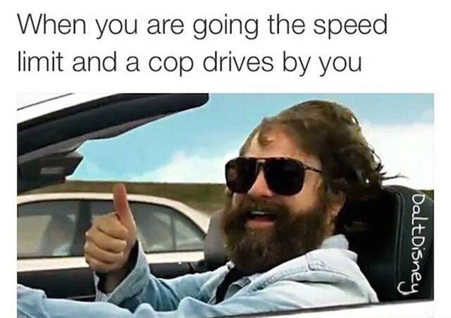 classic hangover meme - When you are going the speed limit and a cop drives by you Dalt Disney