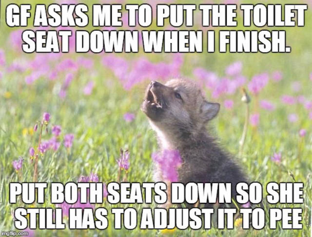 meme kid wolf - Gfasks Me To Put The Toilet Seat Downwhen I Finish. Put Both Seats Down So She Still Has To Adjust It To Pee glip.com