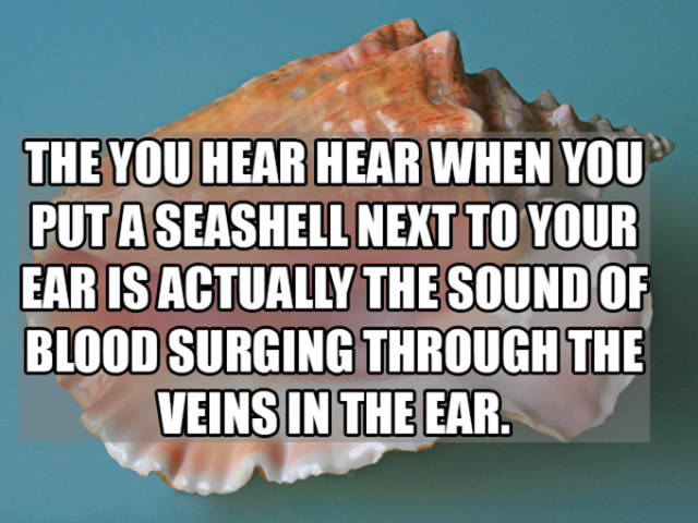 27 Cool and Interesting Facts to Excite Your Brain