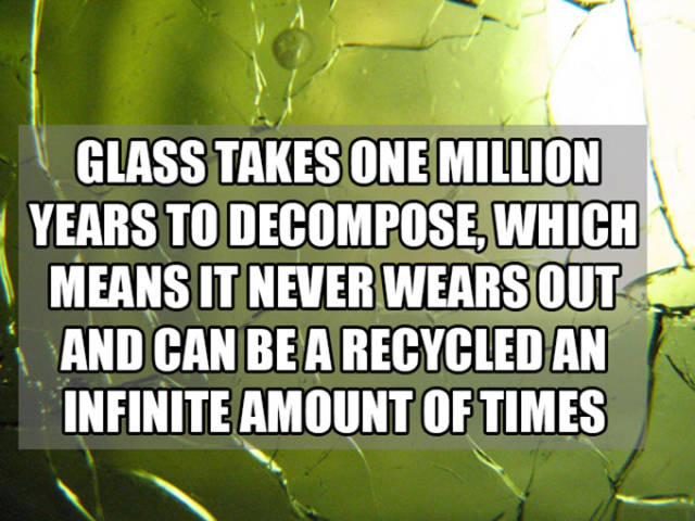 27 Cool and Interesting Facts to Excite Your Brain