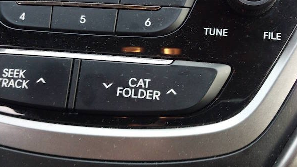 mystery button cat folder - 4 Tune File Seek Rack Cat Folder