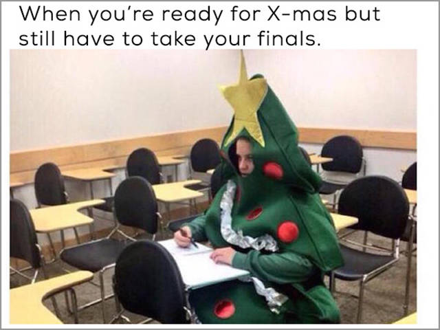 Funny picture of kid dressed as Christmas tree taking a test made into a meme.
