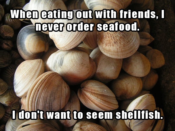 dad jokes - glucosamine shellfish - When eating out with friends, never order seafood. I don't want to seem shellfish.