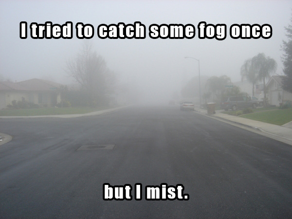 dad jokes - lane - I tried to catch some tog once but I mist.