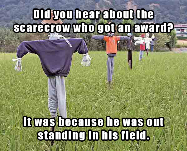 dad jokes - farming scarecrow - Did you hear about the scarecrow who got an award? It was because he was out standing in his field.