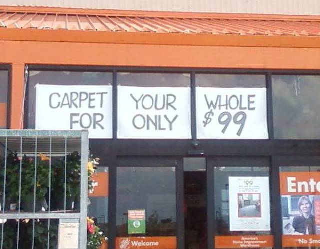 carpet your whole for only 99 - Carpet For Your Only Whole $99 Ento No S. Welcome