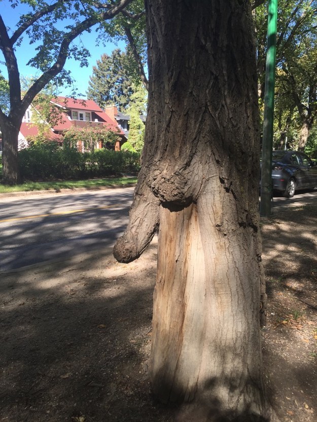 24 Photos That Prove Everything Looks Like A Penis