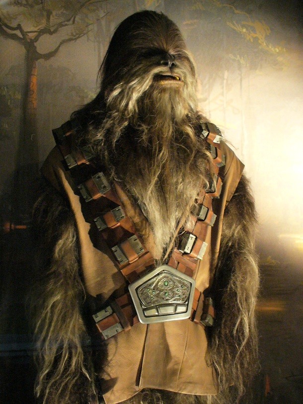 The name of planet Kashyyyk's native race, the Wookiees, translates as "People of the Trees".