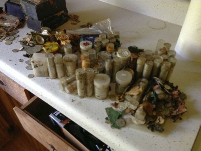 One Tennessee grandmother kept all of these treasures hidden in a safe.