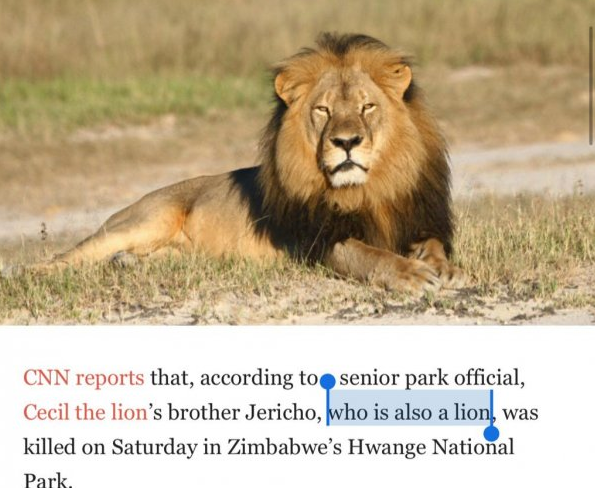 also a lion - Cnn reports that, according too senior park official, Cecil the lion's brother Jericho, who is also a lion, was killed on Saturday in Zimbabwe's Hwange National Park.