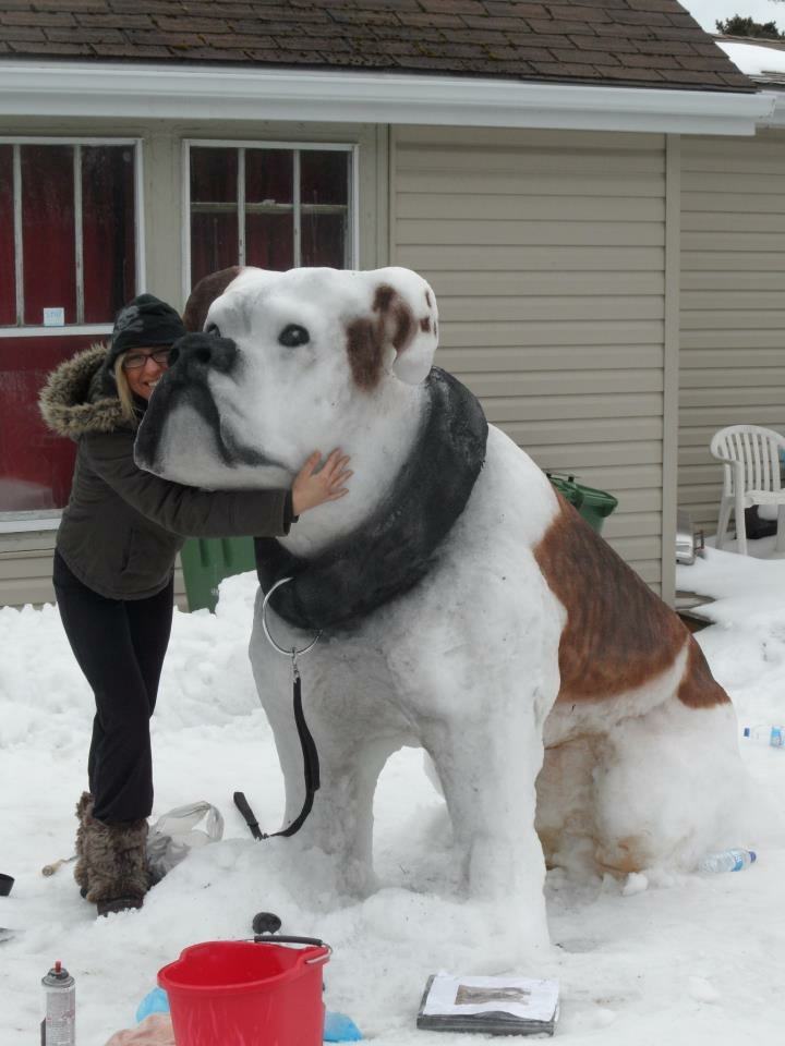 dog made of snow