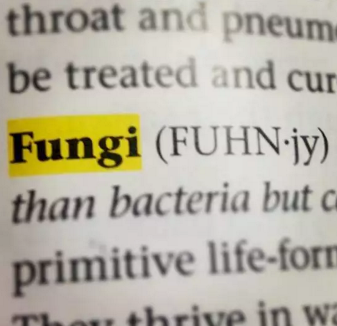 It's NOT pronounced fun-guy!!
