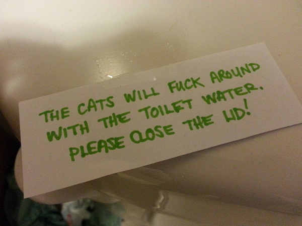 funny instructions The Cats Will Fuck Around With The Toilet Water, Please Cose The Hd!
