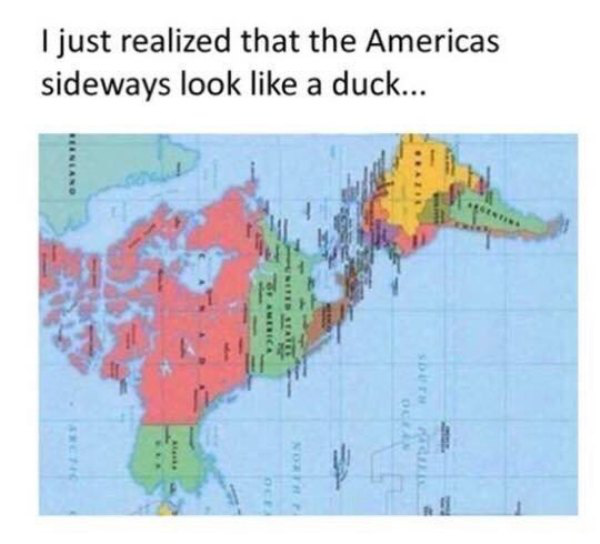 world map looks like a duck - I just realized that the Americas sideways look a duck...