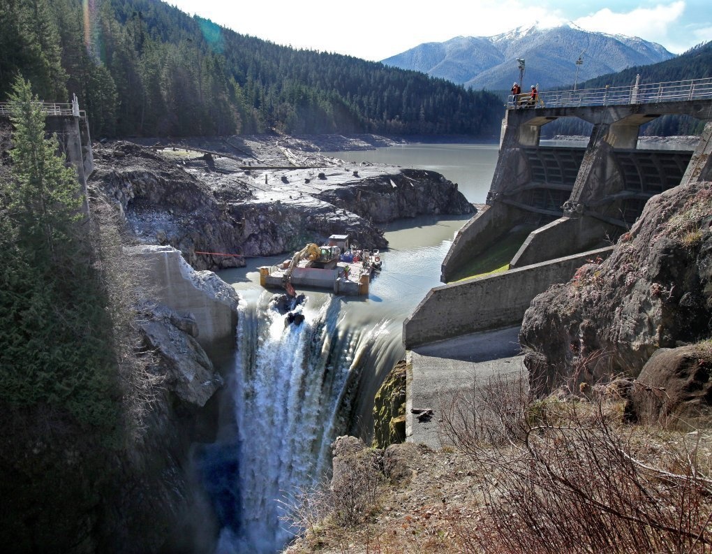 American Rivers set a goal to deconstruct 75 dam removals, contributing to the natural flow of rivers and streams.