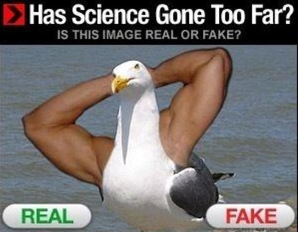 16 Times Science Went A Bit Too Far