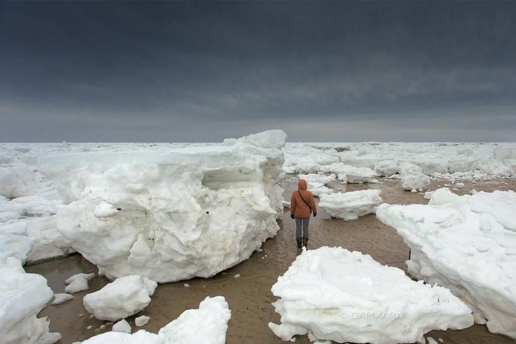 Big chunks of ice the size of icebergs randomly appeared on the coast of Cape Cod National Seashore in Massachusetts.