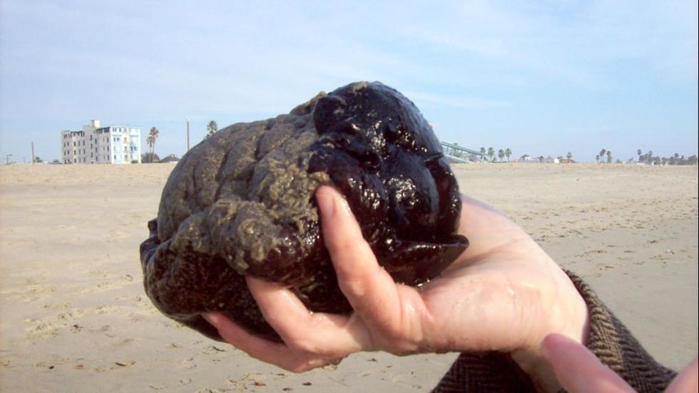 Unusual slimy purple blobs were found on a beach in California. The blobs turned out to be sea hares.