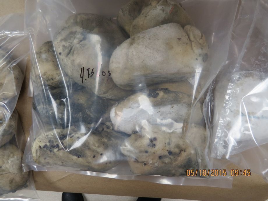 30 bags of cocaine worth $175,000 were recently found on a beach near Galveston Island State Park in Texas.