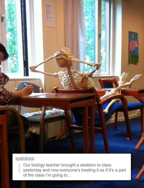skeleton class - ayatokiwa Our biology teacher brought a skeleton to class yesterday and now everyone's treating it as if it's a part of the class I'm going to...