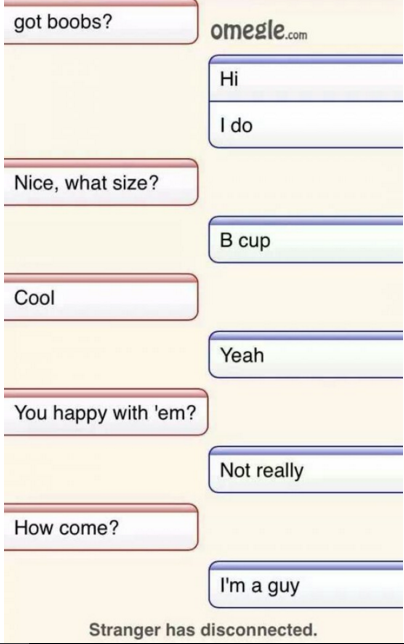 funny plot twists - got boobs? omegle.com Hi I do Nice, what size? B cup Cool Yeah You happy with 'em? Not really How come? I'm a guy Stranger has disconnected.