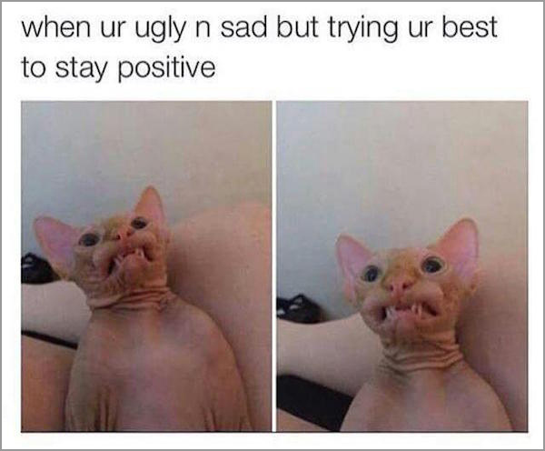 ur ugly and sad - when ur ugly n sad but trying ur best to stay positive