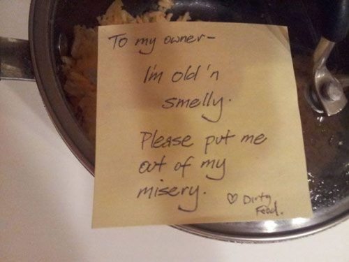 funny roommate posts - To my owner I'm old'n Smelly Please put me out of my misery. Dintored