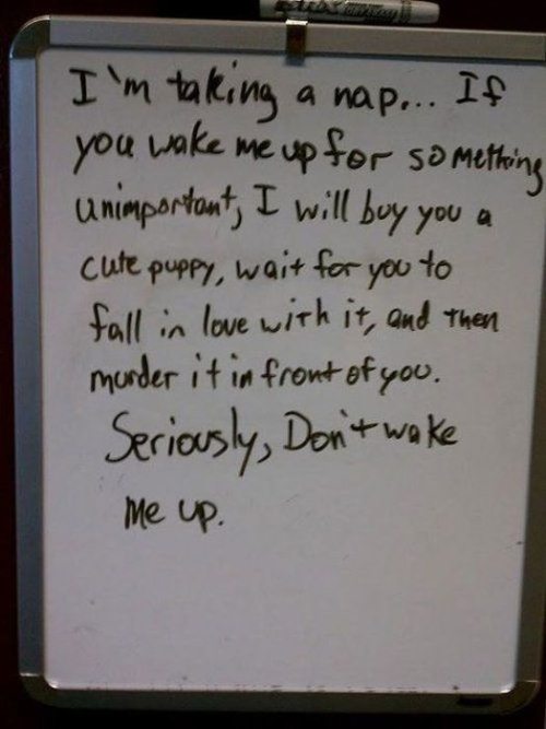funny roommate - I'm taking a nap... If you wake me up for something unimportant, I will boy you a cute puppy, wait for you to fall in love with it, and then murder it in front of you. Seriously, Don't wake .